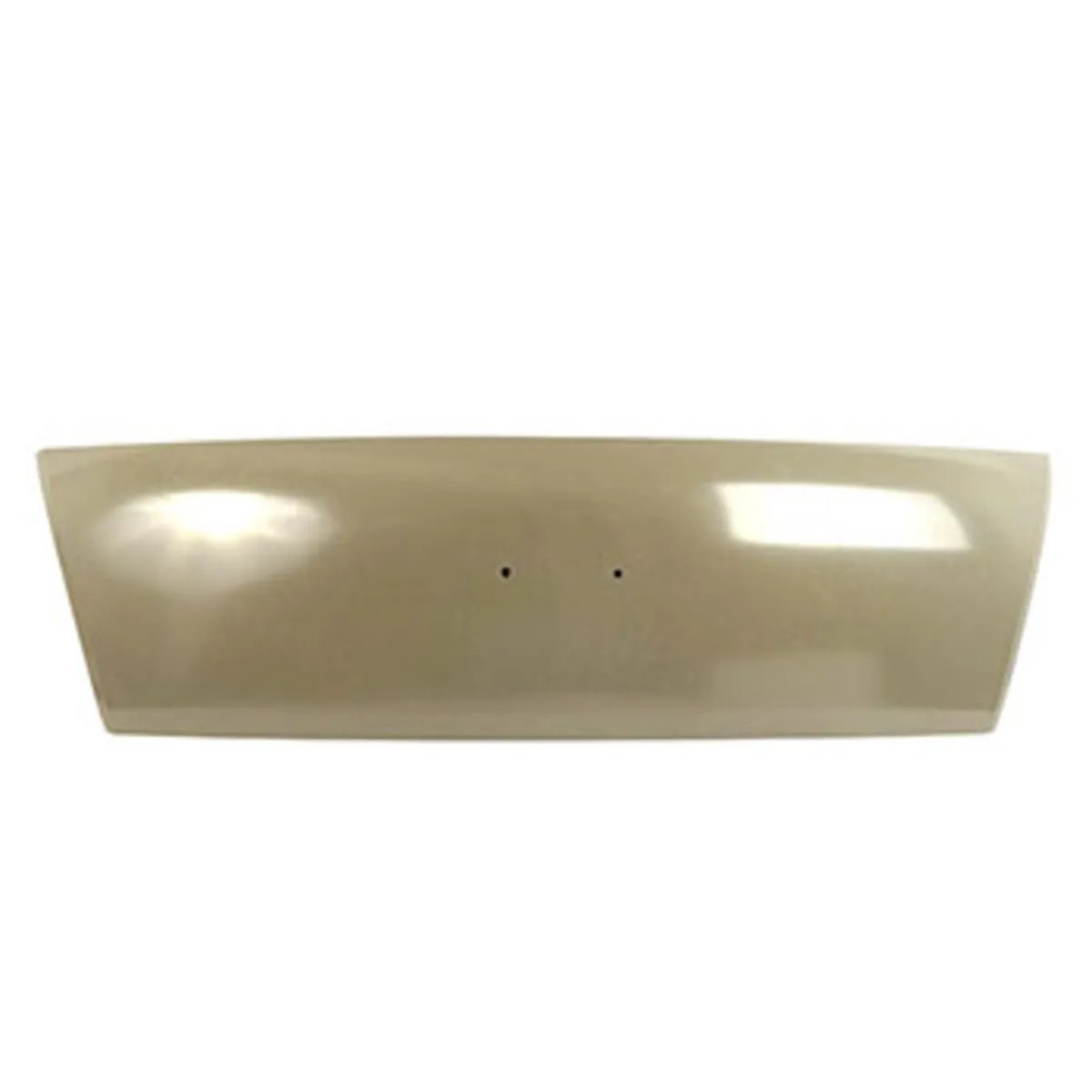 Capot frontal metálico - 66400-4E000