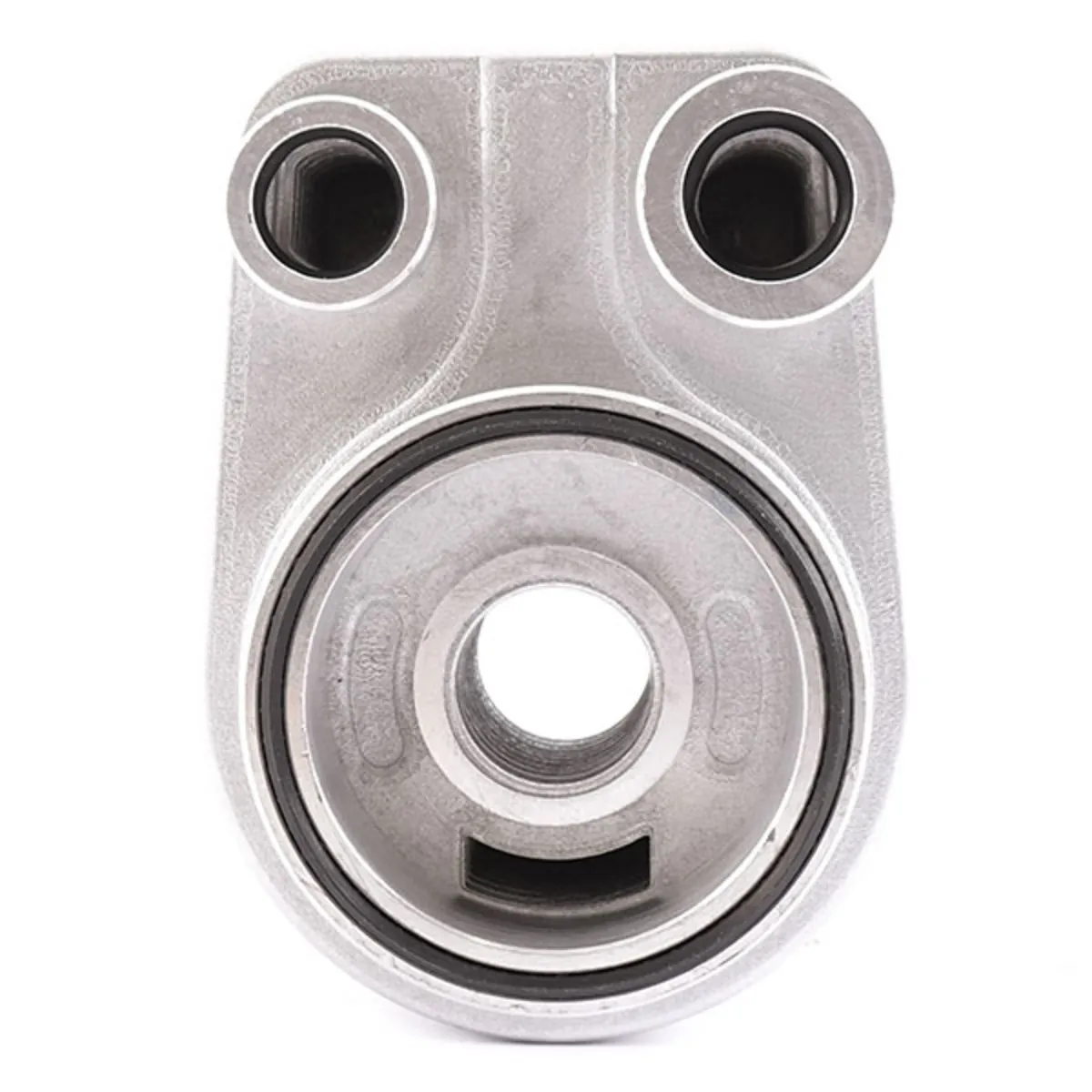 Enfriador de aceite - 213059324R