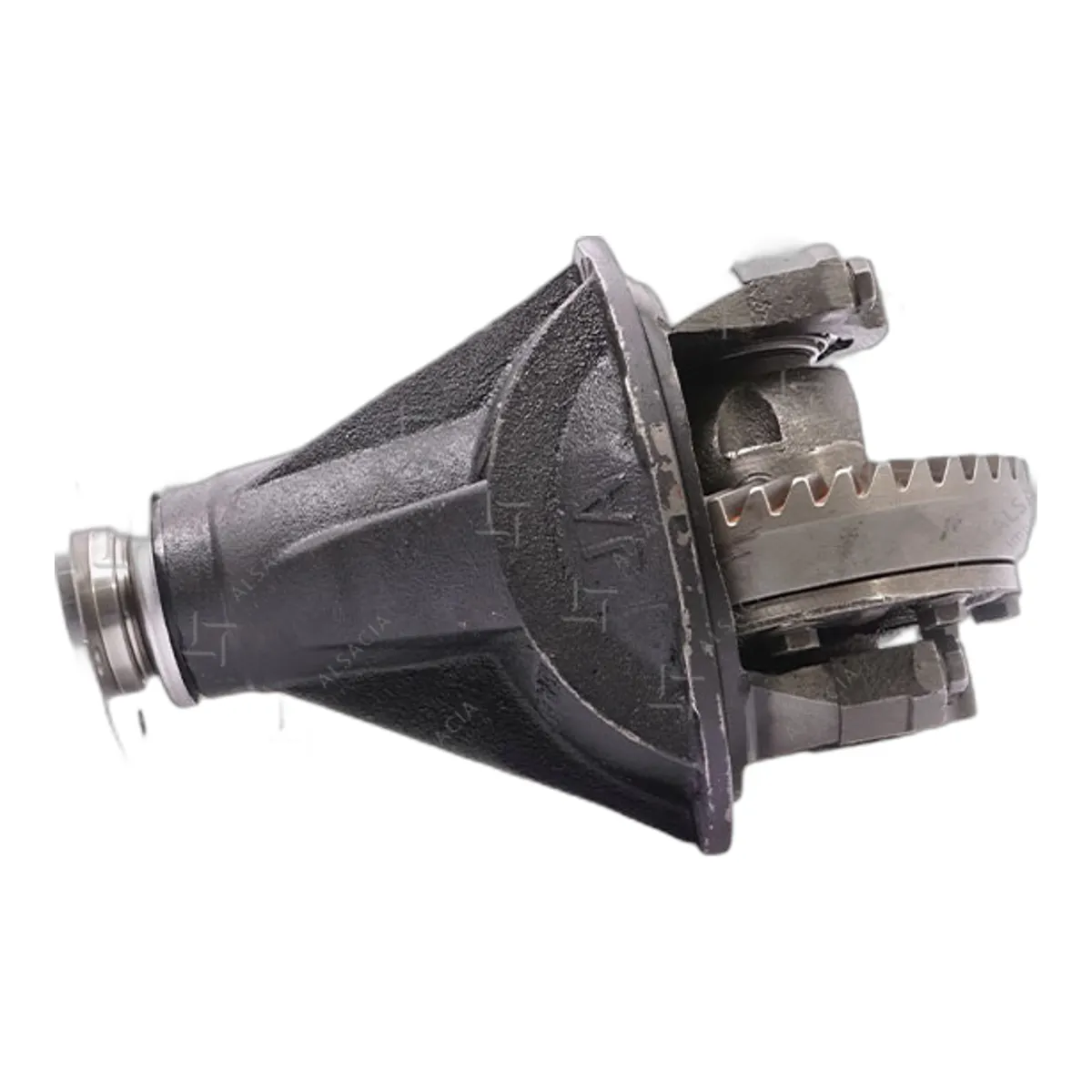 Conjunto de Corona y Piñón - 24564725