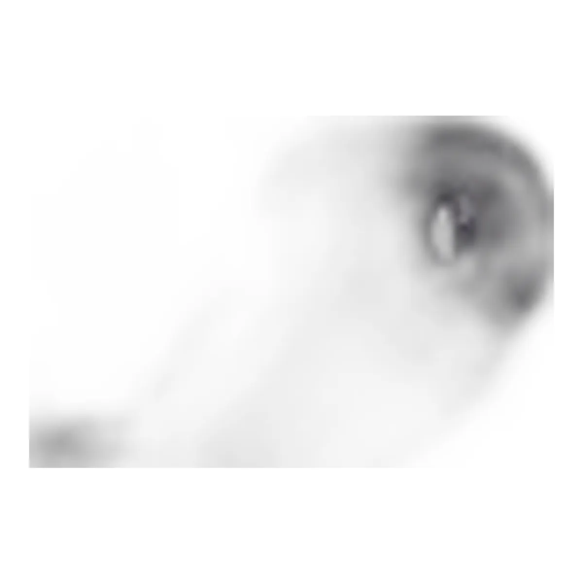 Brazo limpiaparabrisas delantero derecho - 38310M62S10