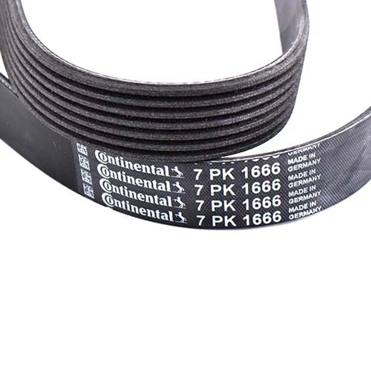 Correa de alternador y bomba de agua 7PK-1666 - Miniatura 2