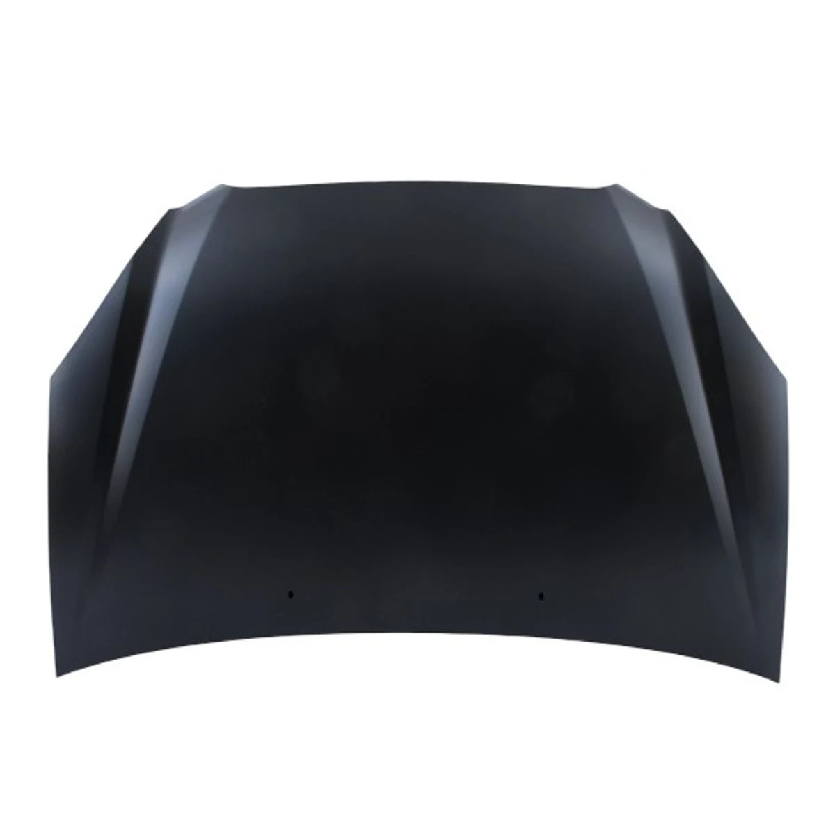 Capot delantero compatible 2.0 - 66400-1D010