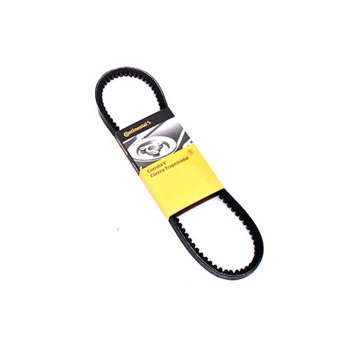 Correa dentada formato 6PK - 12.5x775 RE